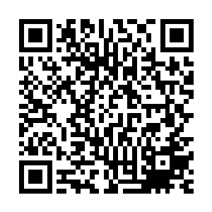 几乎在他们一目十行的迅速看着那只能看到一半的介绍的时候二维码生成
