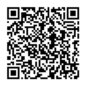 几乎在方圆百万里的所有人都感受到了这股恐怖的充满了毁灭气息的能量波动二维码生成