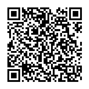 几乎在这一瞬间就分出了上百根的枝桠……看起来就像是一根树的成长二维码生成