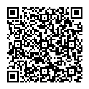 几乎在那幽冷如浪潮的光芒和那突兀出现散发暴虐气息的血红光芒将要相撞的时候二维码生成