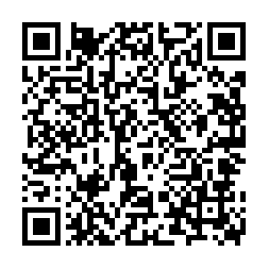 几乎大半的芝安市民都记得了这么一名做好事不留名的英勇小英雄林烽二维码生成