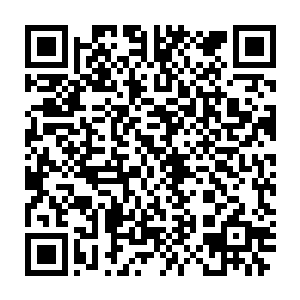 几乎完全看不出不久之前的他还是一个半只脚进了鬼门关的病秧子……二维码生成