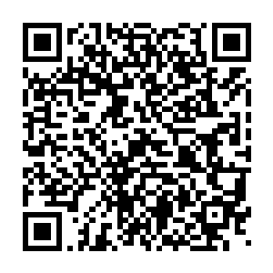 几乎将所有想到的华丽辞藻都用到了称赞这件难得一见的宫装上面二维码生成