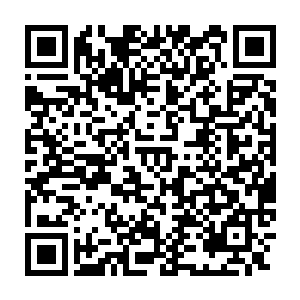 几乎将整条通道都塞满了……甚至这些蓝血冰蝠都不需要震动翅膀飞行二维码生成