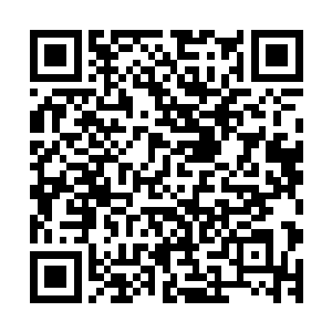 几乎就在张铁的精神力刚刚碰到小塔准备把小塔拉回来的时候二维码生成