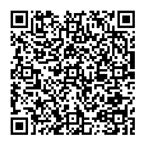 几乎就在此话出现的一瞬间神榜震动由鬼王掌控的六道轮回出现巨大的轮盘在天穹旋转施放着丝丝轮回之力二维码生成