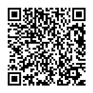 几乎就在瞬间原本干瘪的玄玉果的种子瞬间开始焕发出浓浓的生机二维码生成