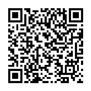 几乎差一点就脱手而出了……反倒是紫瞳显得非常的淡定二维码生成