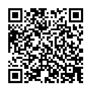 几乎已经找寻不到了……那么比它们更加珍贵得多的灵药二维码生成