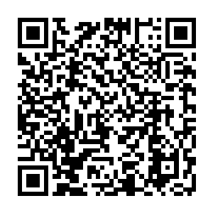 几乎整个修真界的势力都知道了屹立于修真界无数年的门派乾坤宗被灭了二维码生成