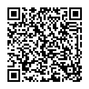 几乎无法利用外力改变的绝世凶地……这才是藏宝库真正安全的所在二维码生成