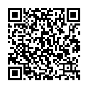 几乎是在穆扬灵出箭的下一瞬他的箭也射了出去二维码生成