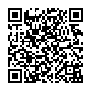 几乎是完全没有任何考虑的捧住了面前那张宜喜宜嗔的完美脸庞二维码生成