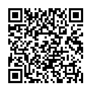 几乎每一位实权贵族都在这次权力的盛宴当中赚得盆满钵满二维码生成