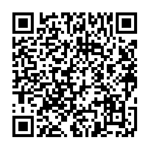 几乎每个实验小组都很难在看到曾经那样心无旁骛搞研究的景象了二维码生成