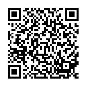 几乎每个高等级的贵族都会被龙爷侯爵旁敲侧击的给教训一下子二维码生成