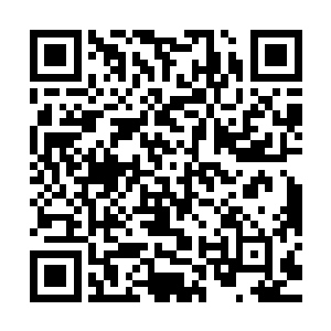 几乎每隔一个星期就会在修武界的大地上演不多不少的机场争斗二维码生成