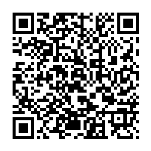 几乎没有人能够顶得住这个傀儡人这样吸血的……这样凶残的傀儡人二维码生成