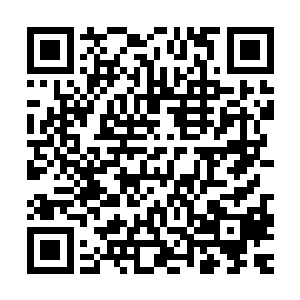 几乎看不出任何一点点曾经在上面趴着两个死状惨烈的尸体……二维码生成