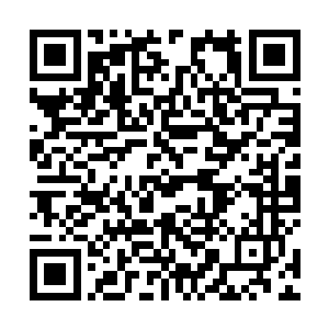 几乎眨眼之间便被众人联手发起的攻击轰击得皮开肉绽二维码生成