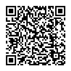 几乎算是年青一代中最强的两个人了……这要不是他们刚刚爆过大招二维码生成