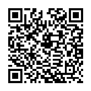几乎让在场所有人都是忍不住双眼一滞的……不但是柳俊浩二维码生成