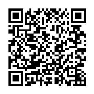 几乎让我确定了重启另一条脉络一定能够有所收获的时候二维码生成