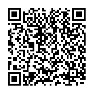 几乎连睁不开的欧阳克却立刻认出这正是他之前在悬崖底下见程灵素拿在手里二维码生成
