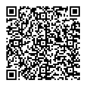 几人不再言语 顿时闭眼再次施法 一瞬间 八道强大的意念跨越灵界场合 瞬间降临到青丘古坟地的狐祖身上二维码生成