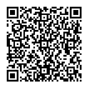 几人还没来得及探讨一下曲承泽这娃从接手无敌商业之后到现在究竟小金库有多少存款了二维码生成