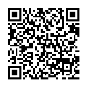 几位年轻的瓦家青年押着那两位被他们抓住的男子走进了族祠二维码生成