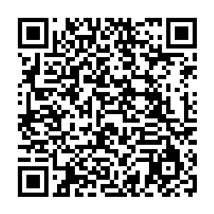 几十万个名字对感知强大可以瞬间扫过千百个名字的武者来说根本不算多二维码生成