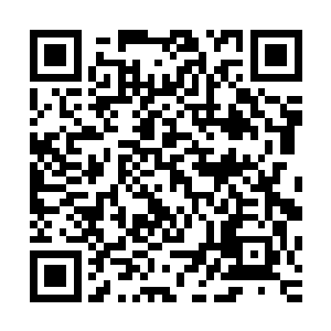 几只异形的死对于这成百上千的异形军团而言根本是皮毛之伤二维码生成