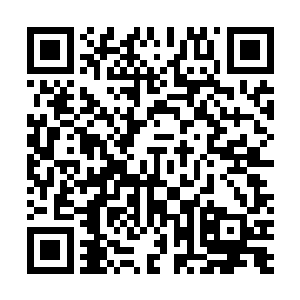 几只深渊龙兽的尸骸也因缘际会落在了这庇护所世界之中二维码生成