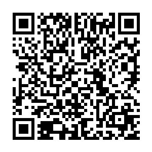 几名修为强大天仙修士竟然瞬间连同他们手中灵宝一起被剑影辗成碎片二维码生成