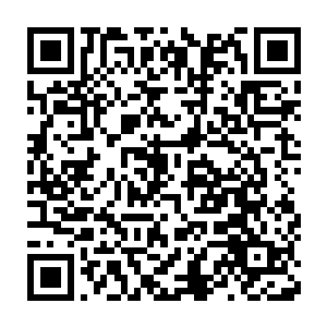 几案另一端的敖谟遐却是一脸好奇的拿起桌上仙食咔擦咔擦的开吃二维码生成