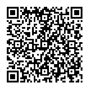 几步赶过来去发现这一小片天地仿佛从外界天地分开了一般出现了完全不同的景象二维码生成