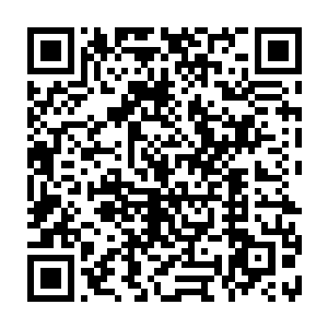 几百年前呼延家族被他们敌对的一个公孙家族联合另外两个小家族给灭掉了二维码生成