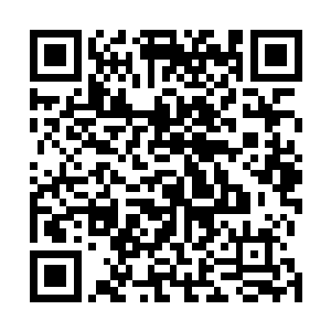 几经尝试失败后仇天霜终于还是忍不住叨扰陈凌询问方法二维码生成