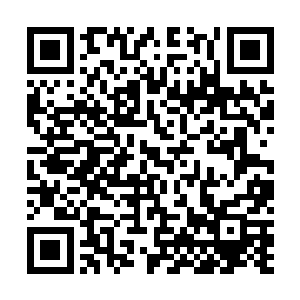 凡人的生命和追求被诸神当做了满是笑话和瑕疵的舞台剧二维码生成