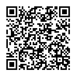 凡小子……被你坑惨了……根基受损……根基受损……快要裂开了……二维码生成