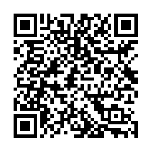 凡是动手攻击过百星罪者的百家家主都要去保护自己的人了二维码生成