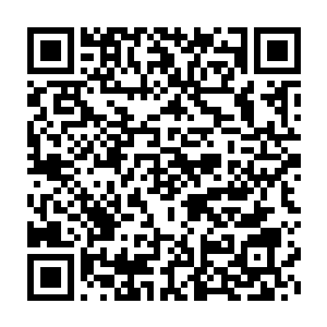 凡是掌控了世界之心的人可以说在某种程度上掌控了这方世界的生死二维码生成