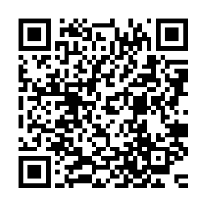 凡是服用过元灵丹的人们再次服用逆天丹之后便可瞬间进阶一级二维码生成