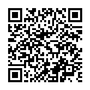 凡是这个组织的人都可以获得极高的社会地位和完善的保护二维码生成