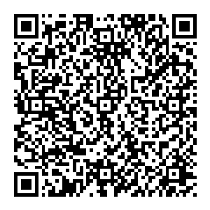 凤凰浴火火啸九天风清扬心念一动驾驭着火凤凰疾驰于虚空眨眼便消失不见留下火凤凰所过之后满地的狼藉以及呆滞的众人二维码生成