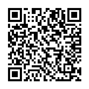 凤君曜从墙上一个暗格格子里取出一枚雕着凤凰的印章二维码生成
