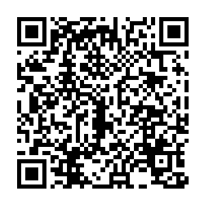 凤怀庭被人安排熟悉了一番又用了一点早膳就被带去见墨修尧和叶璃了二维码生成