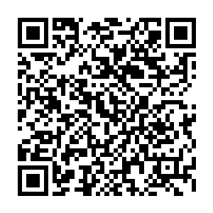 凤羽珩并没有太大的把握在这种医疗设备稀缺的年代能治好双腿严重粉碎性骨折二维码生成