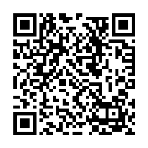 凤鸟老伯的视线转向母体树果实里的白小飞和小惠二维码生成